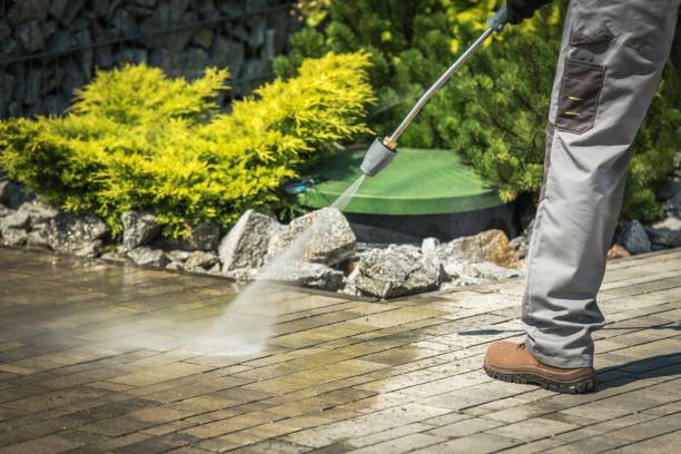 Best Winterizing Services  in Skidmore, TX